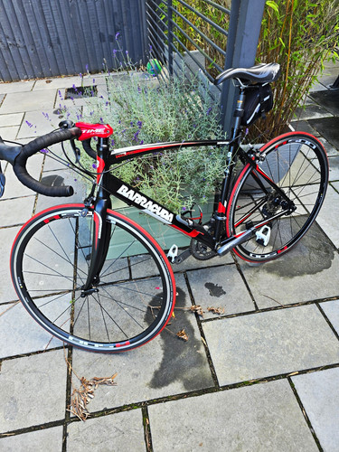 Barracuda road bike - barracuda, 700c