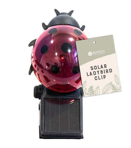 Solar powered ladybird clip - ladybird,