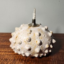 Pier 1 Ceramic SEA URCHIN Oil