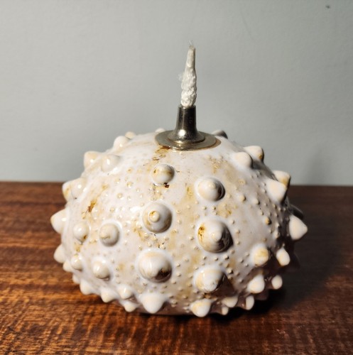 Pier ceramic sea urchin - pier,