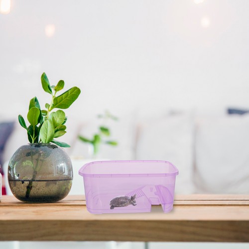 Set reptile feeding box - 1,
