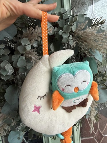 Teeny wonders musical owl - musical, &