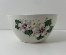 Staffordshire Pottery White