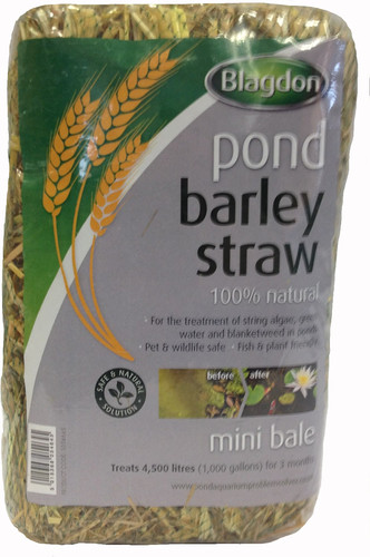 Blagdon pond barley - barley, straw