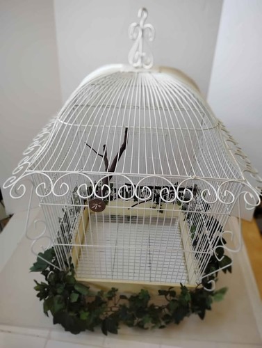 Antique large metal bird - bird, cage