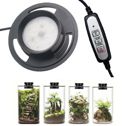 Dimmable usb terrarium plant - dimmable,