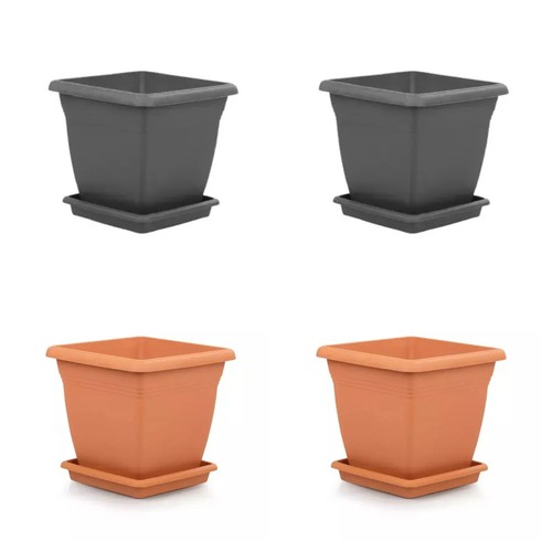 Pack extra large 60cm - pack, 2