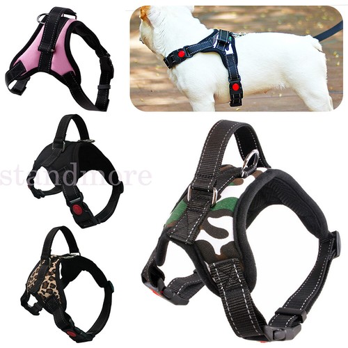 Pull dog pet harness - no,