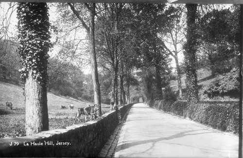 Dennis postcard negative