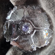 Swarovski 2019 SCS Membership