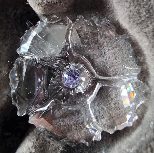 Swarovski 2019 scs - 2019,