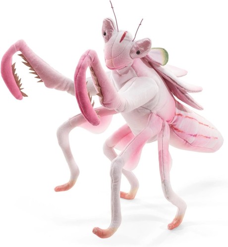 Orchid mantis hand puppet fun - mantis,
