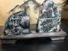 Japanese SUISEKI BONSAI