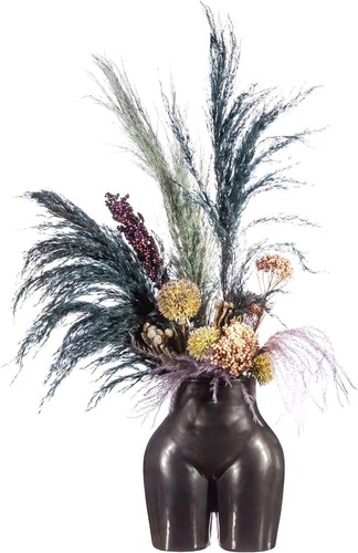 Sass belle large plants - sass, &