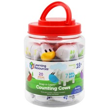 Learning Resources Counting
