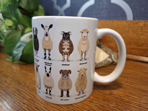 Ceramic mug sheep - sheep, species