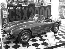Shelby cobra csx2000 - cobra,