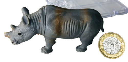 Rhino missing horn - horn, animal