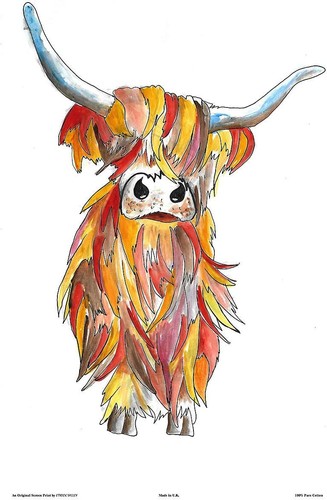 Scottish highland cow - scottish,