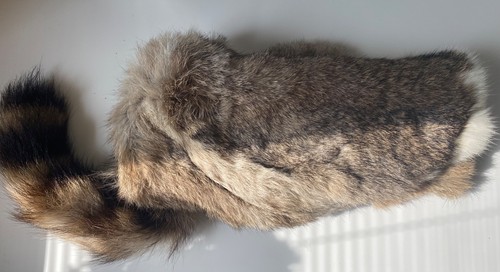 Vintage genuine rabbit - rabbit, and