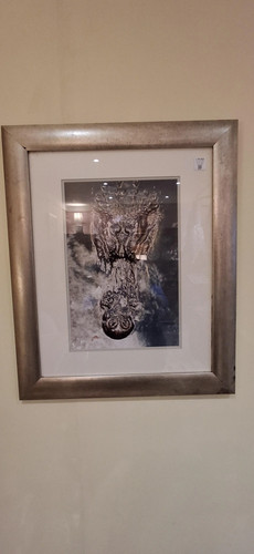 Framed alligator crocodile - framed, alligator/crocodile