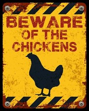 BEWARE OF THE CHICKENS HENS