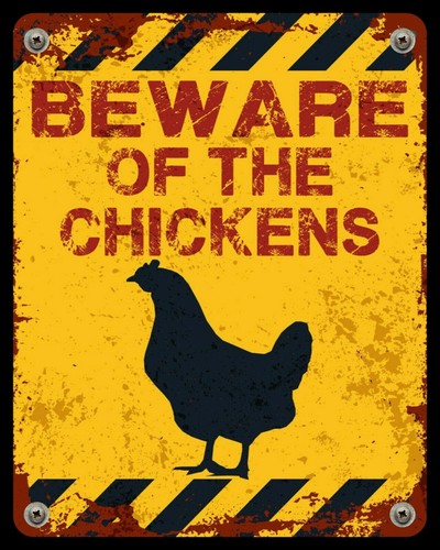 Beware the chickens hens - beware,