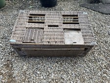 Vintage Racing Pigeons Wicker