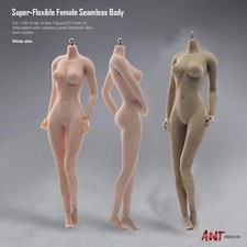 1/6 Flexible Seamless Female