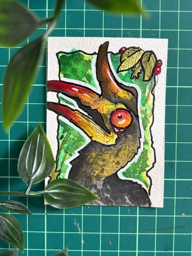 Aceo original wacky hornbill - aceo,