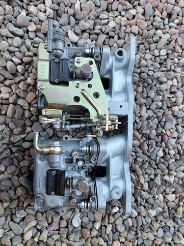 Rs2000 pinto dellorto dhla - pinto,