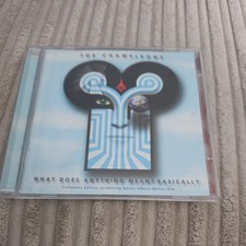 The Chameleons UK - What Does