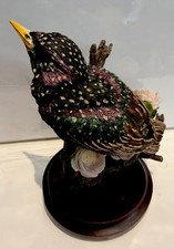 Andy Pearce The Country Bird