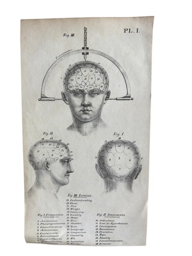 19thc lithograph skulls and - lithograph,