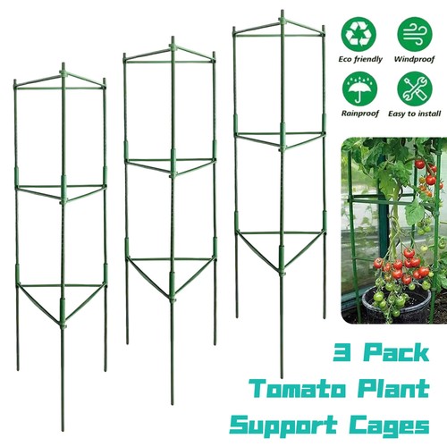 Pack tall tomato - cage, garden