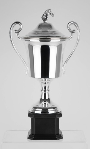 5in swatkins silver - 16.5in, trophy
