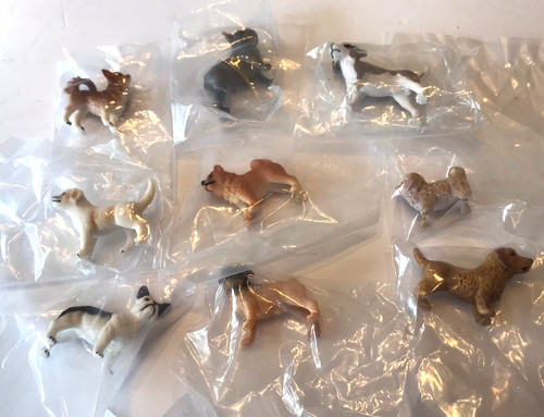 Miniature mixed lot dog - mixed,