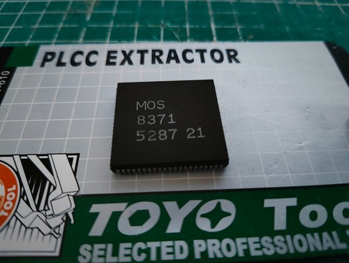Fat agnus mos - mos, 8371