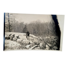 Vintage LABRADOR or Gordon