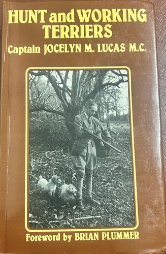 Hunt and working terriers - working,