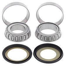 Steering Bearings P.Dust