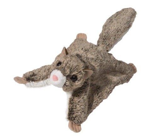 Douglas jumper flying - flying, squirrel