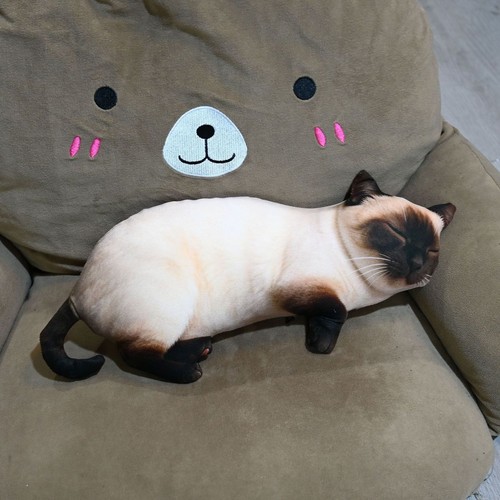 Lifelike black pig cushion - black,