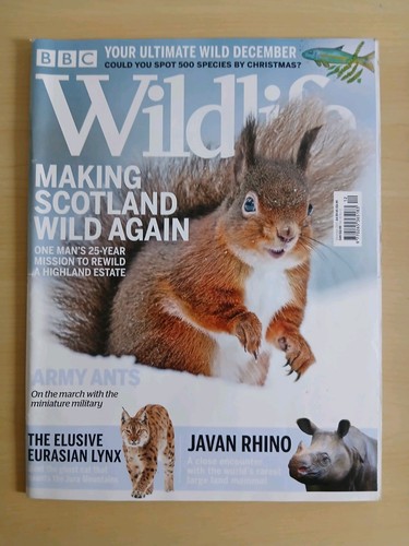 Bbc wildlife december 2020 - wildlife,