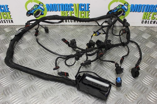 Bmw 1300 engine sub loom - 1300,