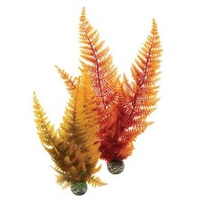 BiOrb Aquarium Autumn Ferns