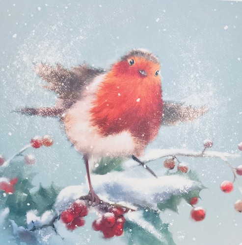 Pack charity christmas - pack, ~