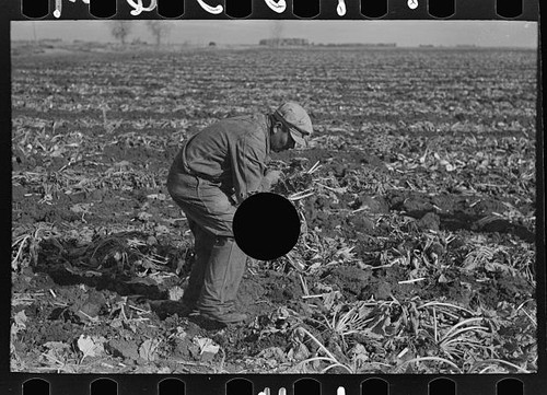 Photo east grand - photo:east, forks