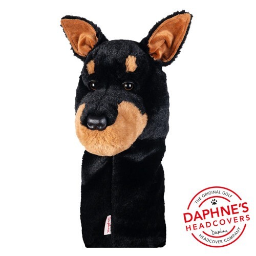 Doberman dog daphne - dog, daphne's