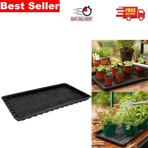 Self watering black plant - self-watering, tray